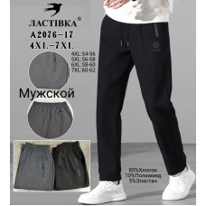 Мужские спортивные брюки Ластівка A2076-17 54–62 оптом