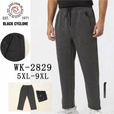 Мужские спортивные штаны WK-2829 5XL-9XL оптом