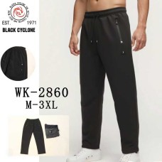 Мужские спортивные штаны WK-2860 M-3XL оптом